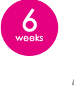 6weeks
